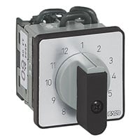 Cam Switches