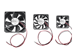 Fans_No background